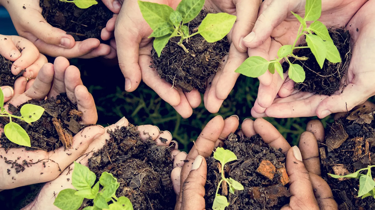Sostenibilidad y Medio Ambiente