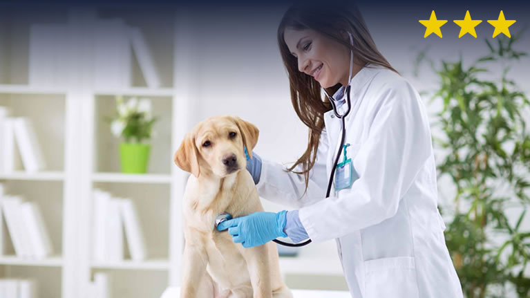 Administración y Gestión de Veterinarias 