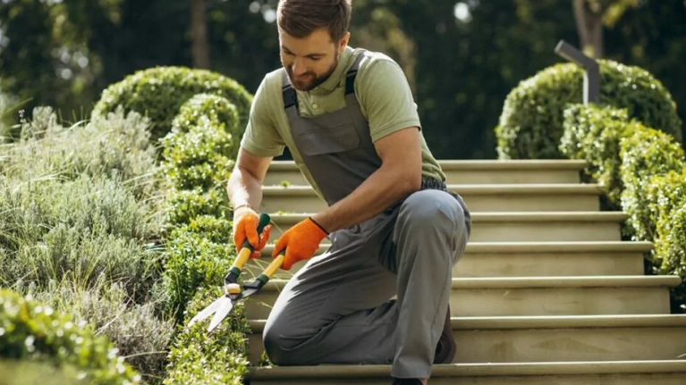 Jardinería Funciones, Labor y Gestión del Jardinero en Complejos Habitacionales y Entornos Laborales